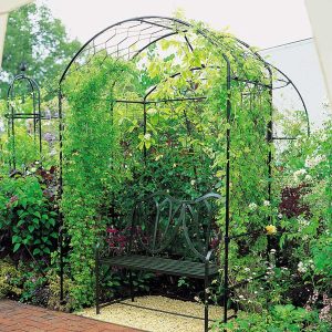 Harrogate Arbor