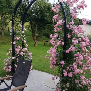 Portofino Backyard Archway