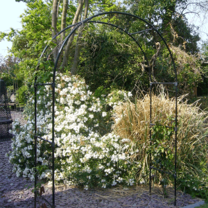 York Backyard Arbor